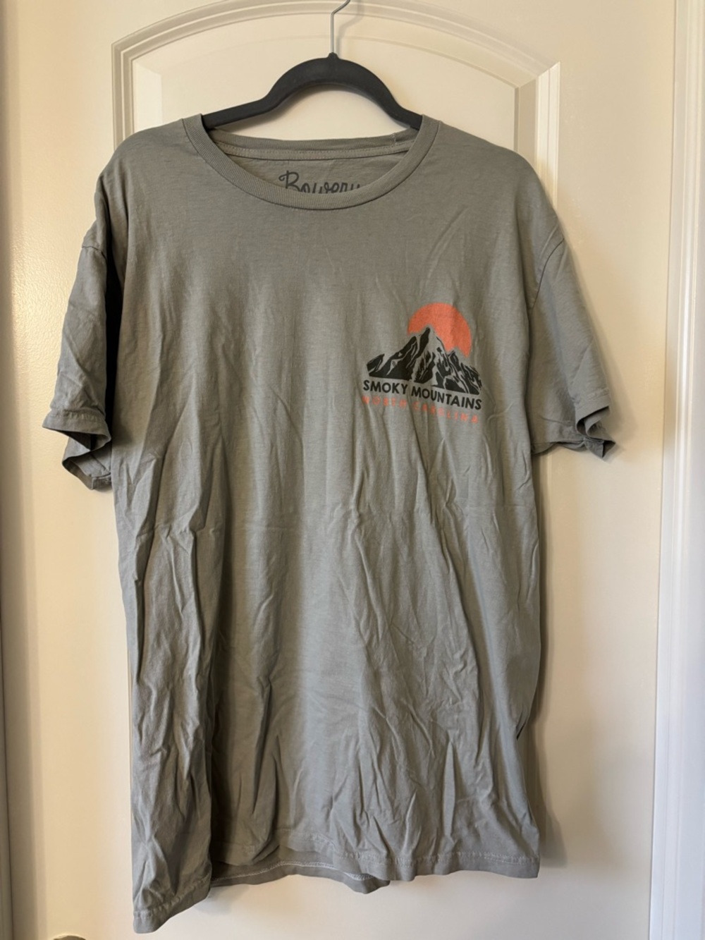 Smoky Mountains Crewneck Tee - Sage Green/grey